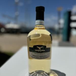 PINOT GRIGIO
