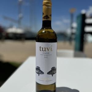 TUVÍ